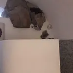 Moki *