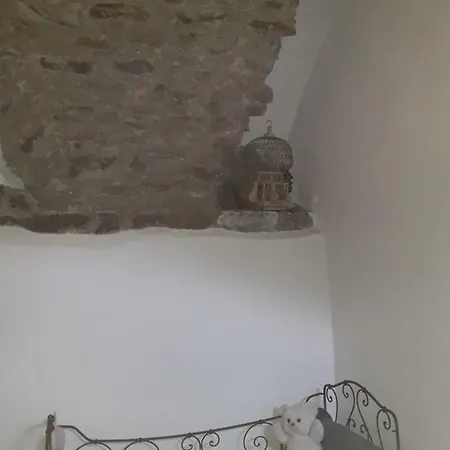 Moki