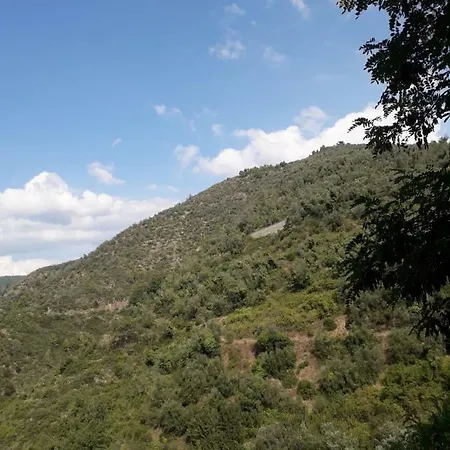 Moki * Apricale
