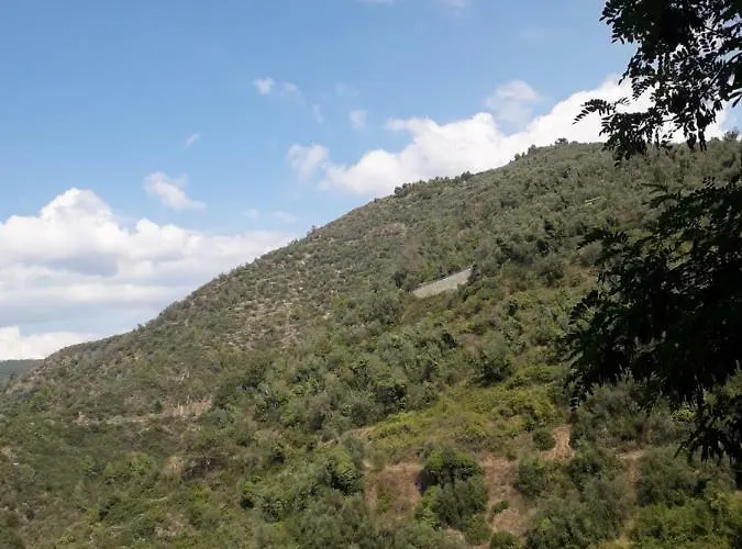 Moki * אפריקלה